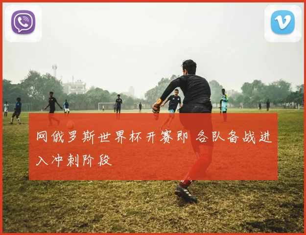 网俄罗斯世界杯开赛即 各队备战进入冲刺阶段